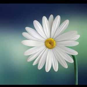 Meet your Posher, Kari